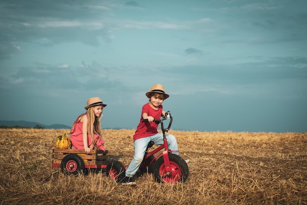 Little girl and boy enjoy walk Happy girl and boy in the field Funny kids Children play outdoors Enj