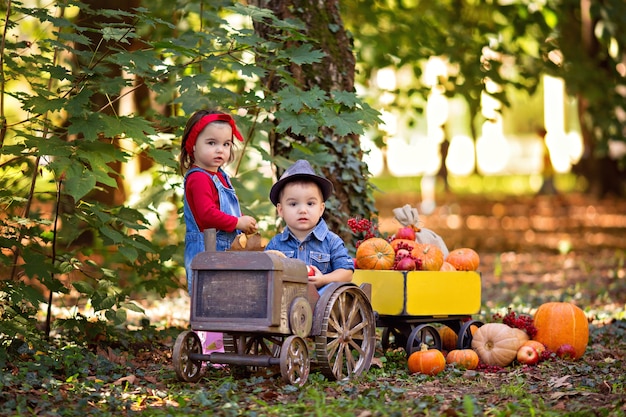 Little girl and boy in a tractor with pumpkins