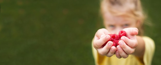 Little girl child holding a handful of red berriesraspberries banner