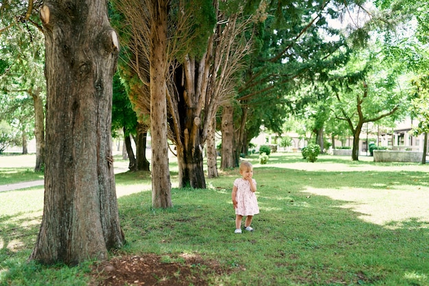 Little girl in a dress stands on the green grass among the trees in the park