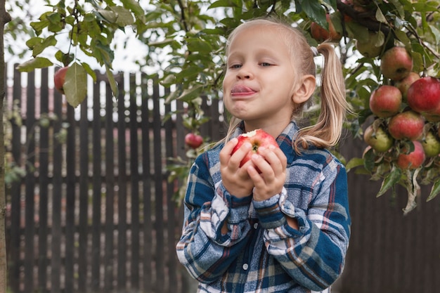 Little girl eating an apple in the garden near apple tree