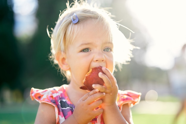 Little girl eats a peach on a green lawn holding it by hands portrait