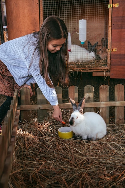 Little girl feed a carrot in the garden of a rabbit Children play with animals