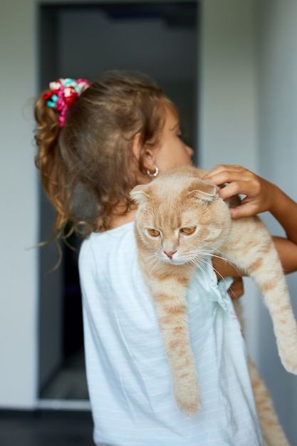 Little girl holding cat in her arms at home indoor, Child playing with domestic animals pet, lovely friend.