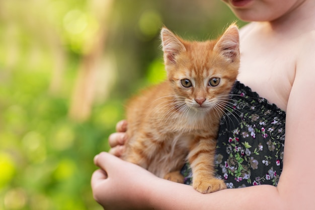 little girl holding a cat