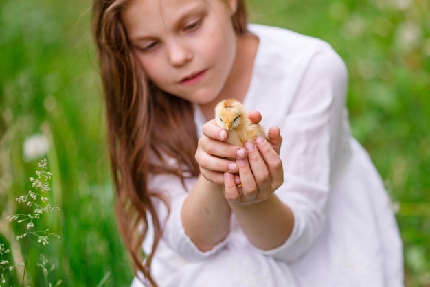 Little girl holding chicken hands playing on the grass