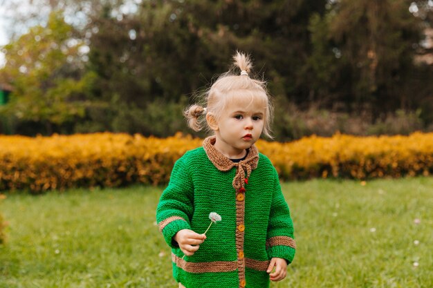 Little girl holding a dandelion in her hands.