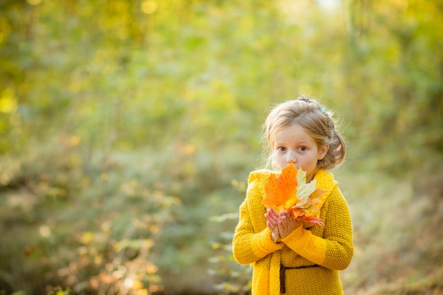 Little girl holding yellow leaves. 