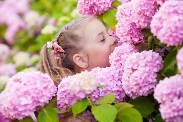 Little girl is in bushes of hydrangea flowers in sunset garden.