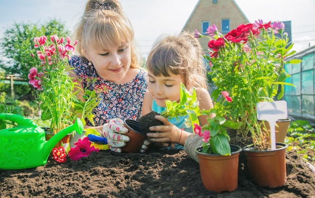 A little girl is planting flowers The young gardener Selective focus