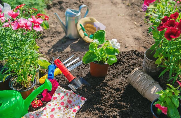 A little girl is planting flowers The young gardener Selective focus