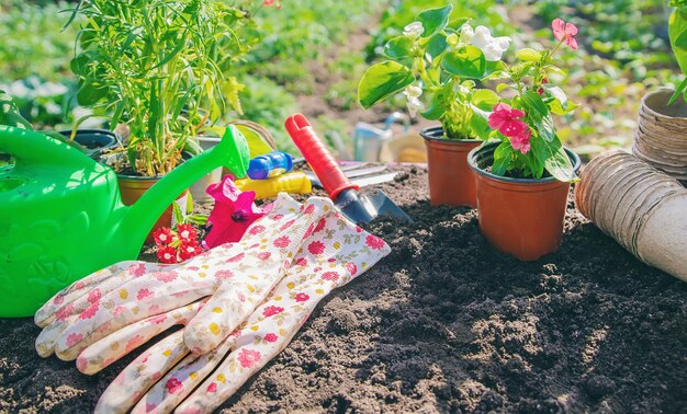 A little girl is planting flowers The young gardener Selective focus