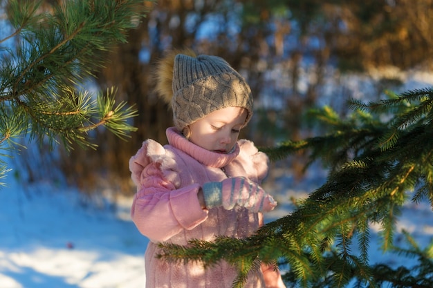 Little girl is playing with pine tree In Winter forest. Happy childhood. Kids Outdoors.Winter Fun Holiday Concept