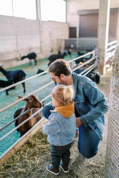 Little girl is standing next to her dad squatting in front of the paddock and looking at the goat