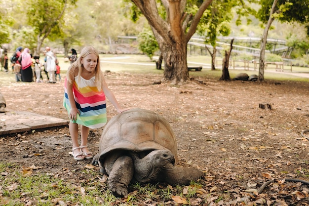 A little girl next to a large peacock in a park on the island of Mauritius