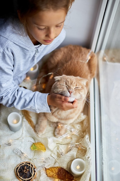 Little girl play with pet cat lying on window sill at home