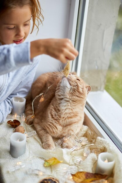 Little girl play with pet cat lying on window sill at home