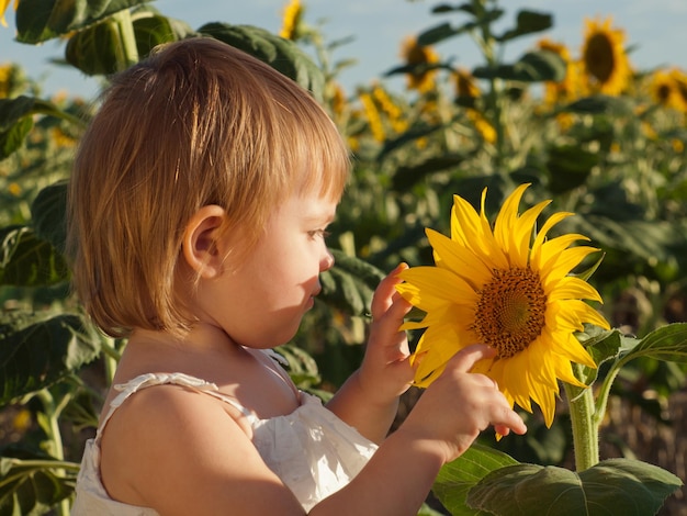 Little girl playing in sunflower field.