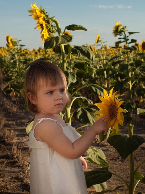 Little girl playing in sunflower field.