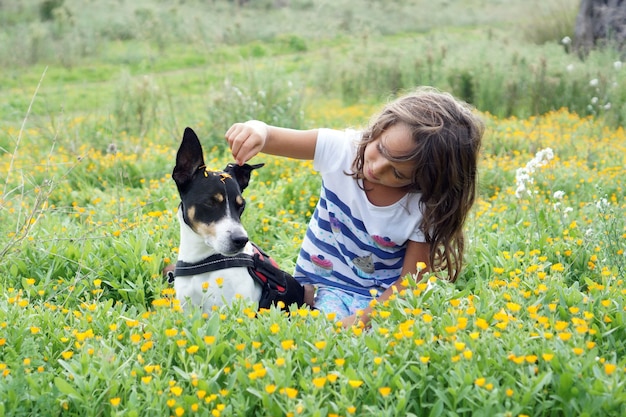 Little girl playing with jack russell terrier