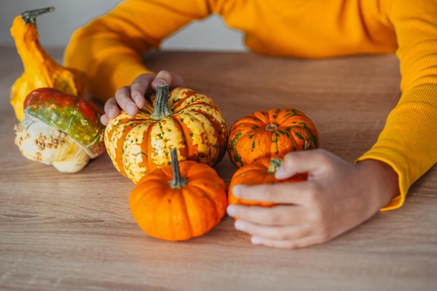 Little Girl Playing With a Pumpkin emotional portrait at home Halloween party concept