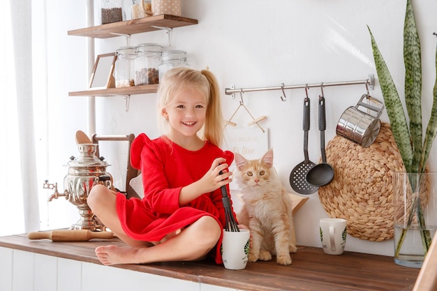 A little girl plays with a kitten in the kitchen of the house concept of a human family and a pet