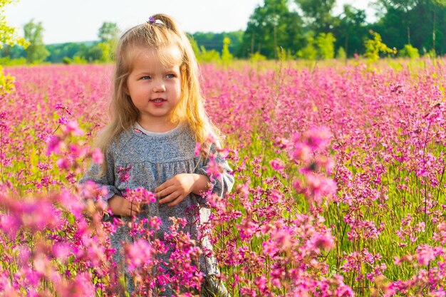 Little girl standing in the field of pink flowers. Rural summer day