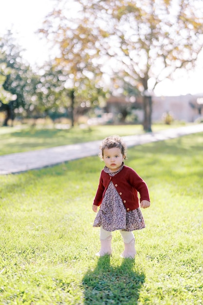 Little girl stands on a sunny meadow in the park