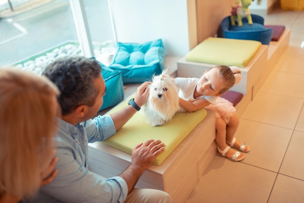 Little girl touching and playing with white fluffy dog