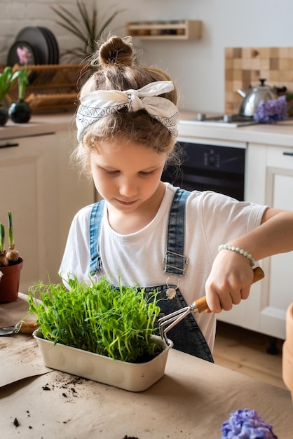 Little girl transplants flowers and houseplants a child in a bandana plants bulbs and microgreens