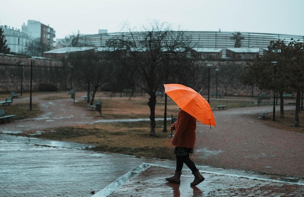 Little girl walking in the park on a rainy day