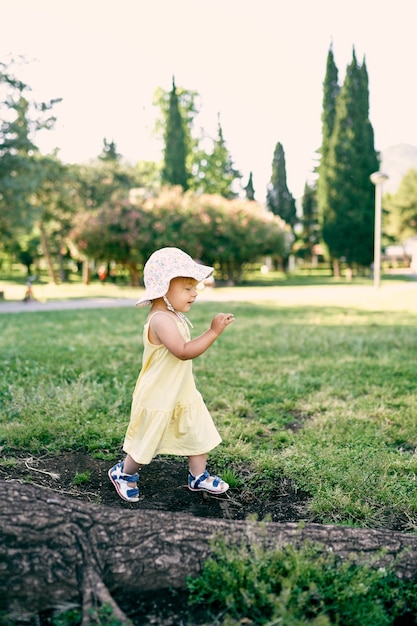 Little girl walks on the lawn at the roots of a tree