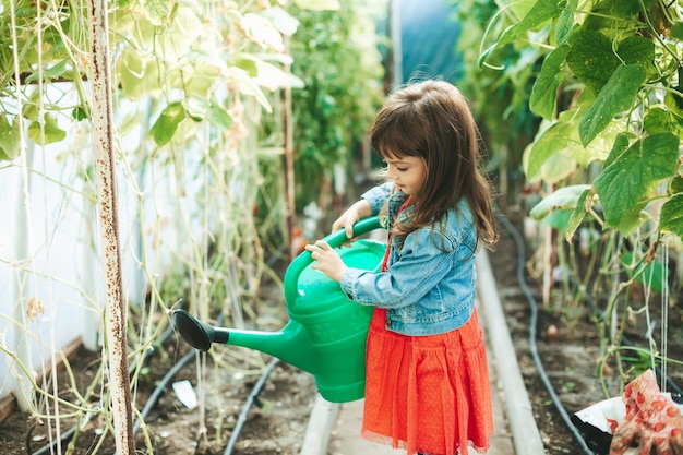 Little girl watering vegetables