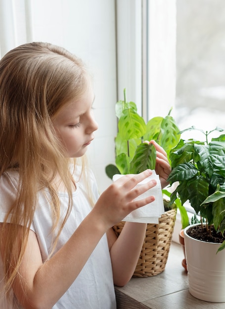 Little girl wipes the foliage of house plants, houseplant care