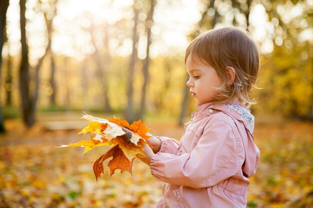 Little girl with autumn maple leaves