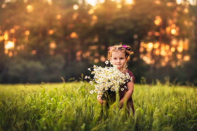 little girl with a big bouquet of daisies flowers