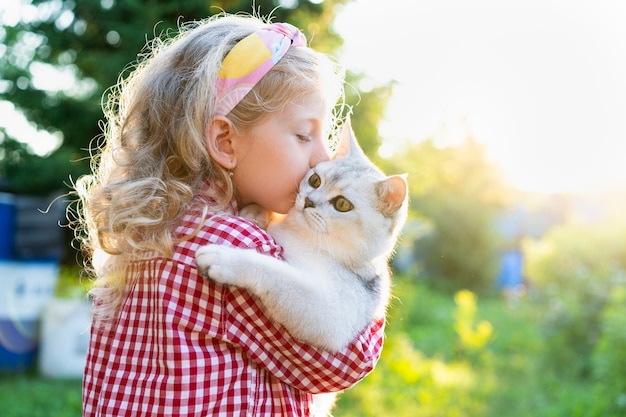 A little girl with a big white scottish straighteared cat in her arms love for animals