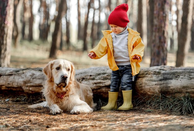 Little girl with golden retriever dog in the forest