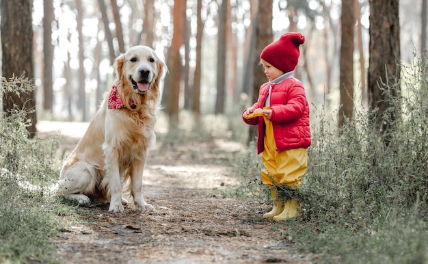 Little girl with golden retriever dog in the forest