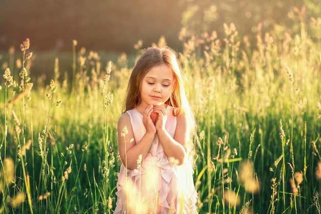 little girl with long hair in a beautiful dress on the nature in summer