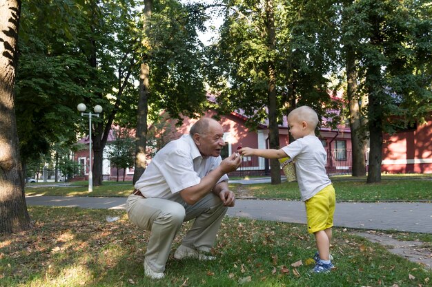 A little grandson in yellow shorts carefully and lovingly feeds a balding grandfather with popcorn f