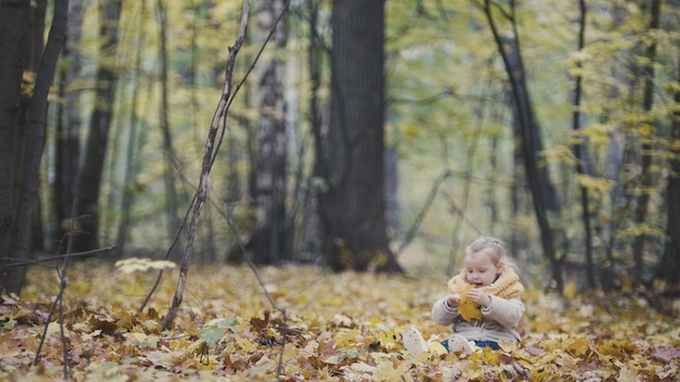 Little happy baby girl plays in autumn park among yellow leaves - wide angle, telephoto