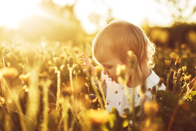 Photo little happy girl in a field with a dandelion in hand