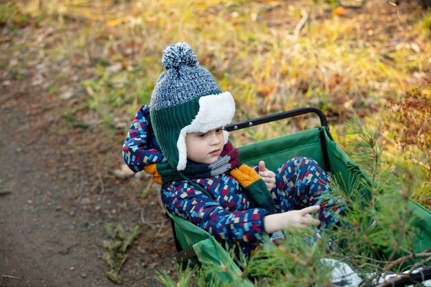 Little kid sitting in a wagon on a road in a forest