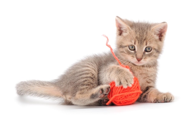 Little kitten playing with a ball of yarn