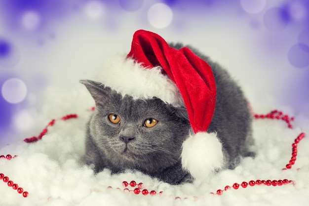 Little kitten wearing Santa Claus hat against Christmas background