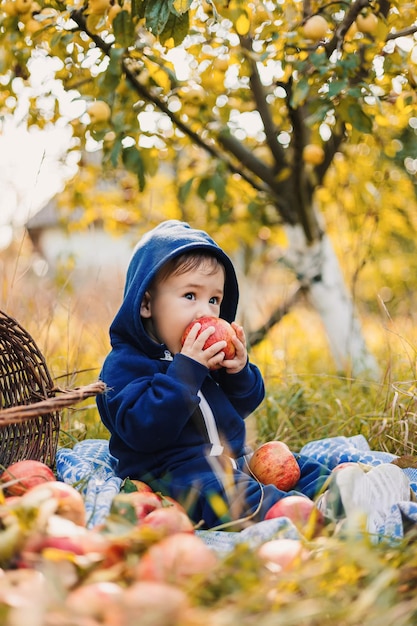 Little lifestyle kid in garderning farm Child boy sitting in apple farming garden