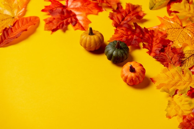 Little pumpkins with autumn leaves on yellow background. Top view