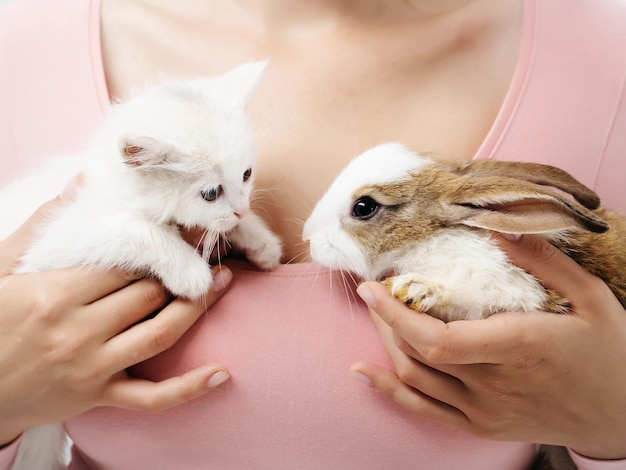 Little rabbit and kitten