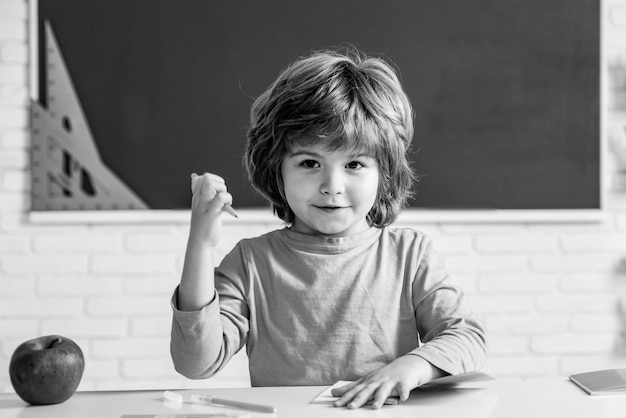 Little ready to study Education Little student boy happy with an excellent mark Pupil learning letters and numbers